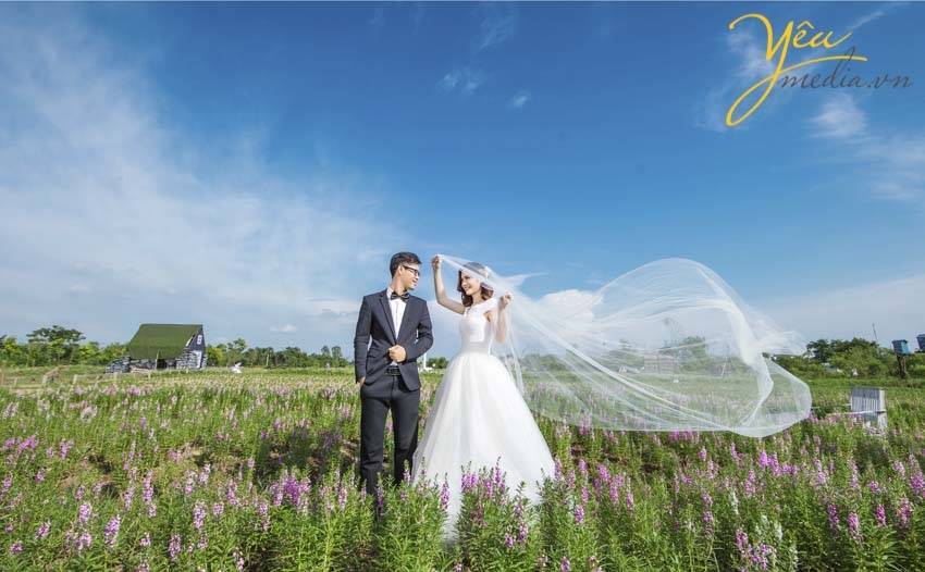 chụp ảnh cưới chụp tại thảo nguyên hoa Long Biên