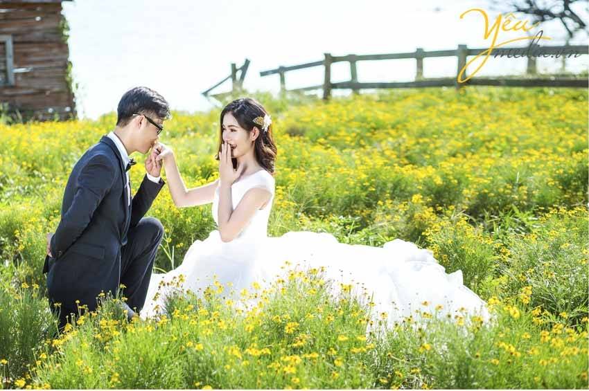 chụp ảnh cưới chụp tại thảo nguyên hoa Long Biên