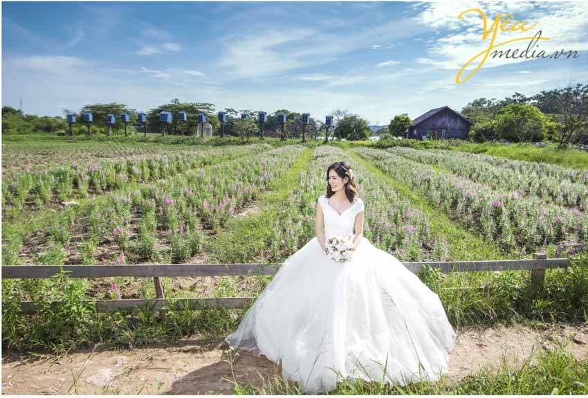 chụp ảnh cưới chụp tại thảo nguyên hoa Long Biên