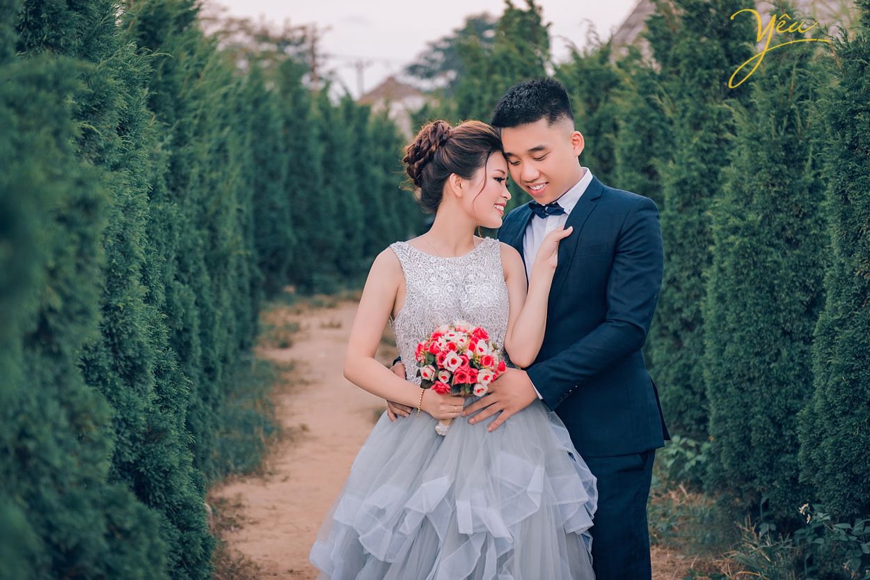 ảnh cưới đẹp chụp trong vườn thông ngay ở hà nội