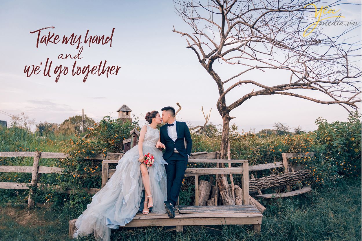 hôn nhau chụp ảnh cưới ngoài trời dưới gốc cây đẹp
