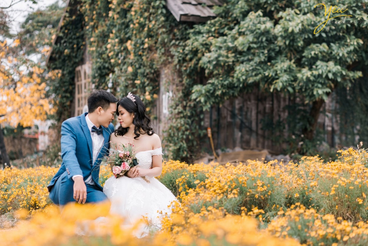 Thảo nguyên hoa Long Biên - nơi chụp ảnh mới toanh cho giới trẻ h