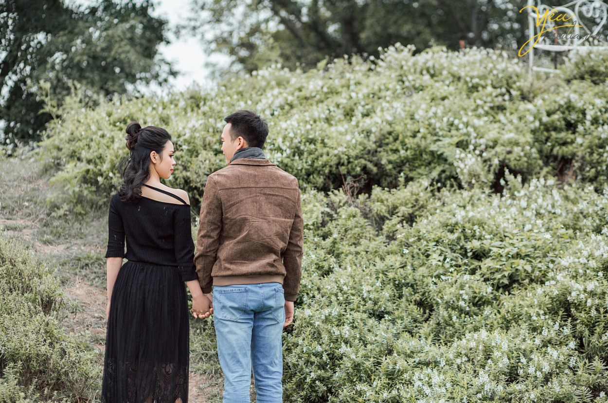 Giới trẻ “phát cuồng” khi chụp ảnh cưới tại thảo nguyên hoa giữa lòng HN