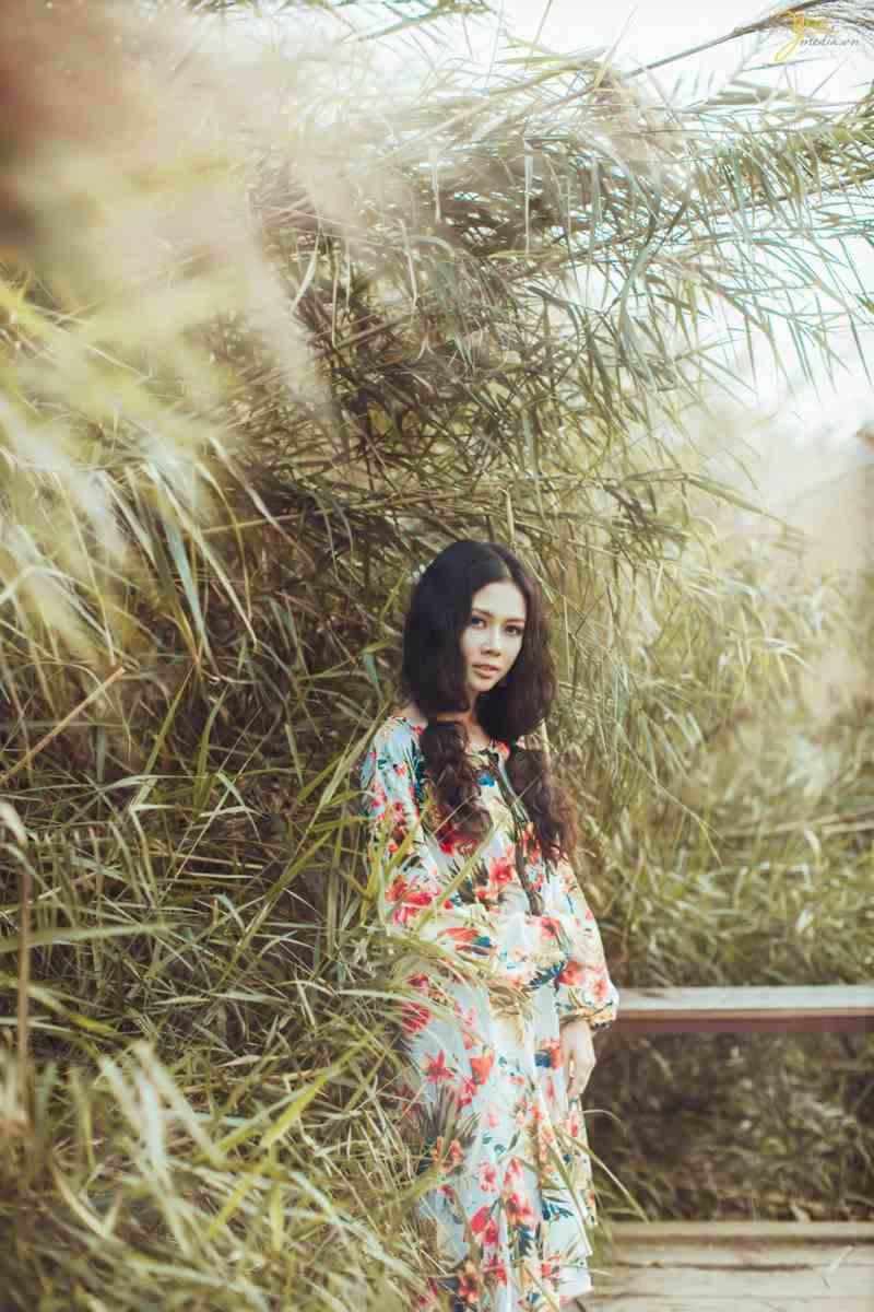 bãi đá sông Hồng