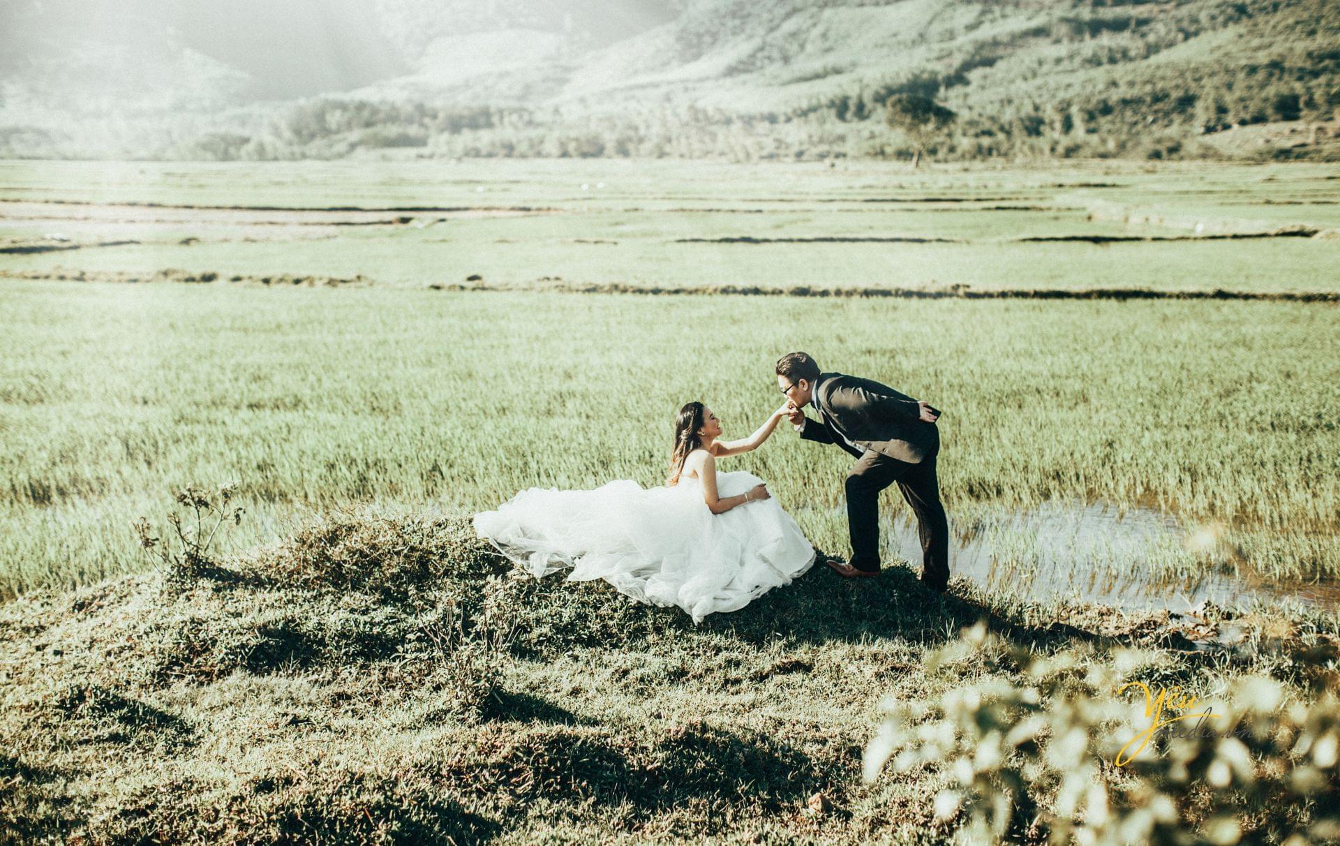 chú rể hôn tay cô dâu trên đồng cỏ