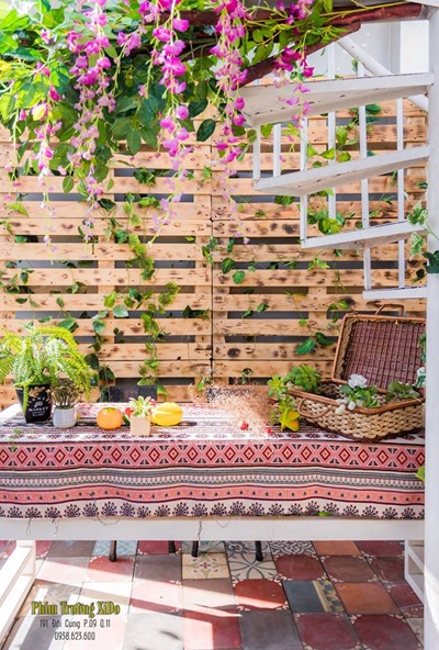 góc chụp ảnh của phim trường xido