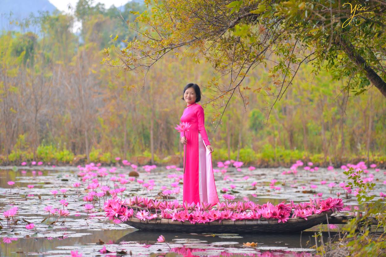 Chụp ảnh áo dài truyền thống trên Chùa Hương với hoa súng lãng mạn