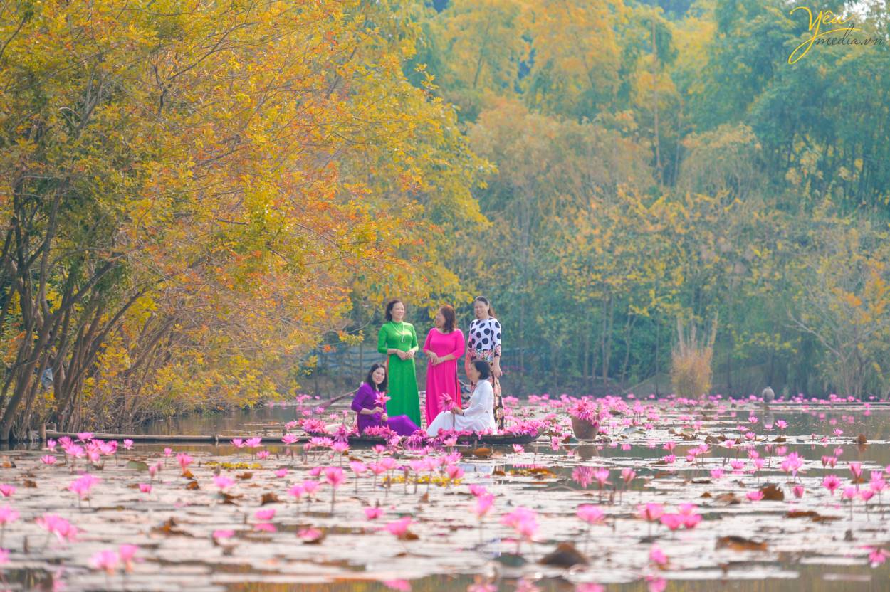 Chụp ảnh áo dài truyền thống trên Chùa Hương với hoa súng lãng mạn