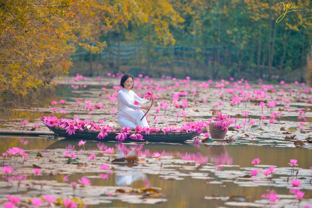 Chụp ảnh áo dài truyền thống trên Chùa Hương với hoa súng lãng mạn