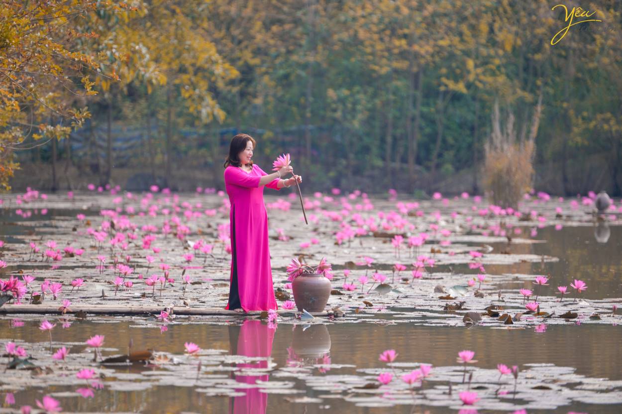 Chụp ảnh áo dài truyền thống trên Chùa Hương với hoa súng lãng mạn