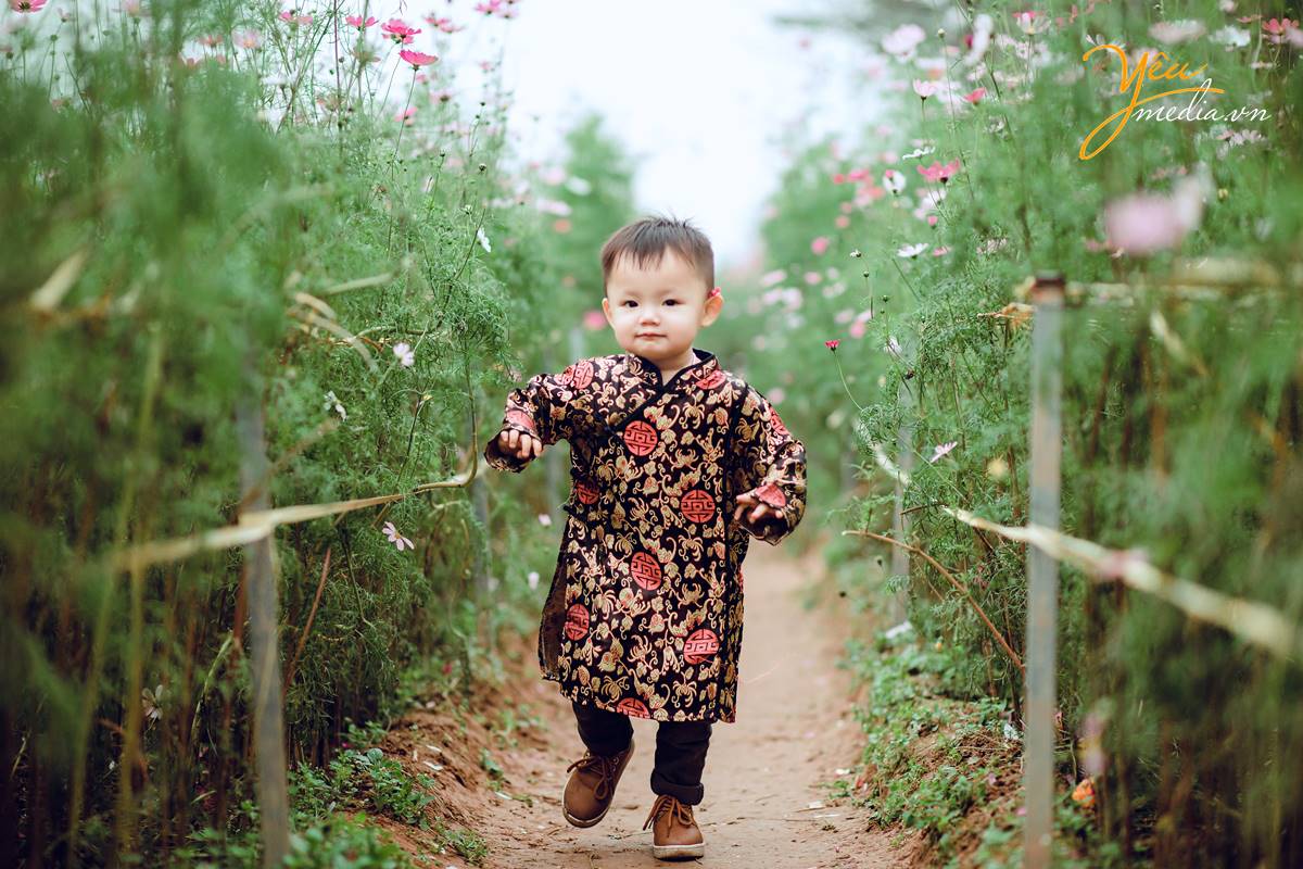 chụp ảnh áo dài Tết