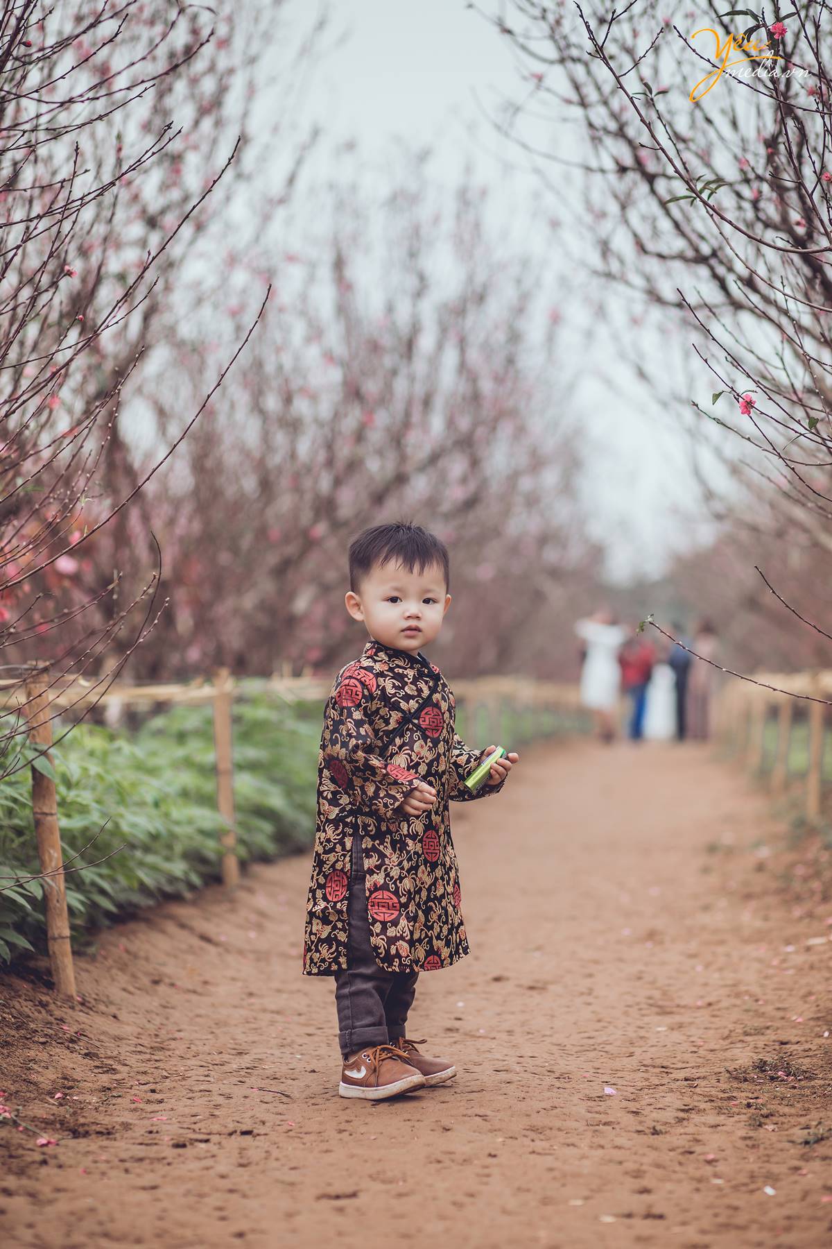 chụp ảnh áo dài Tết