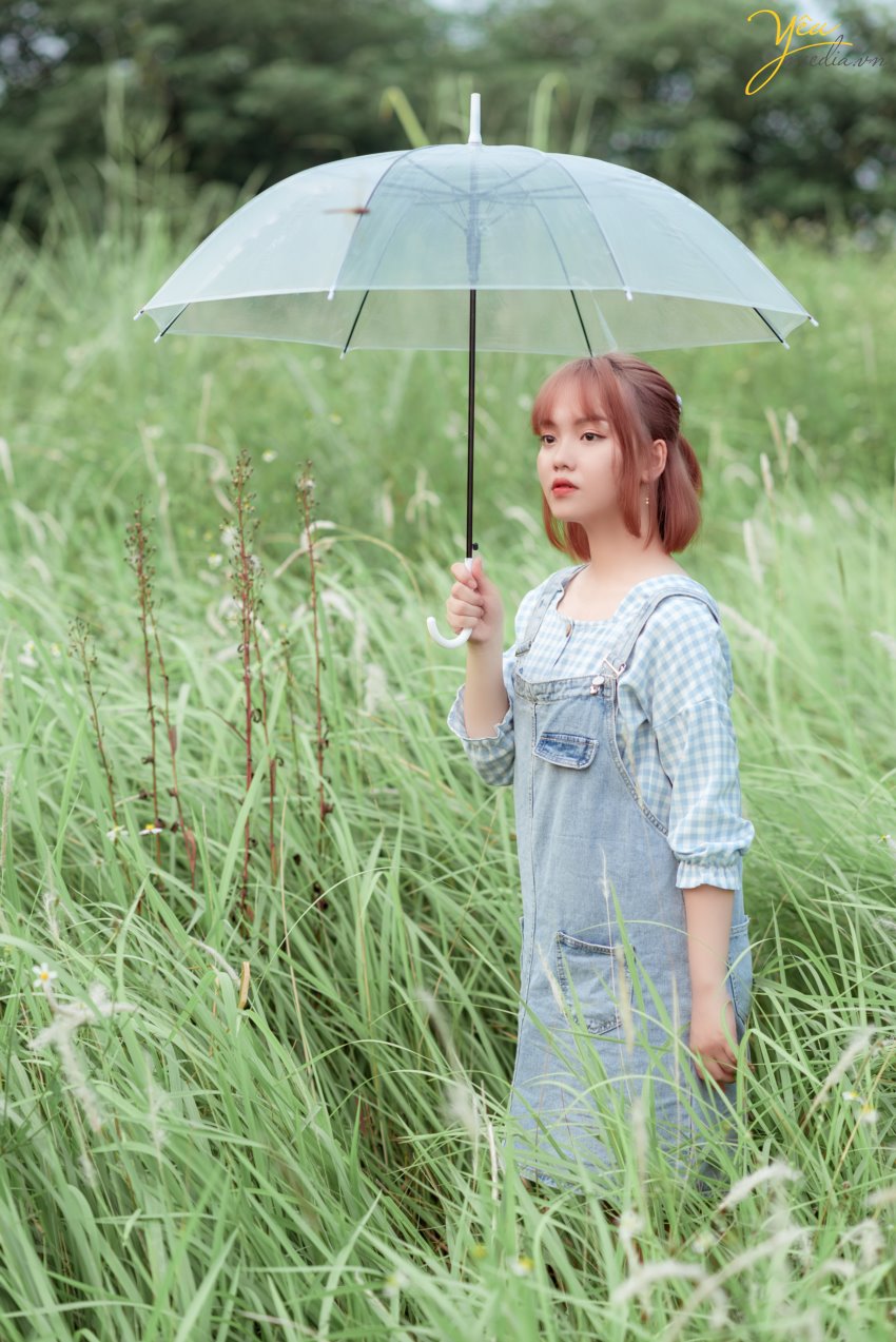 Chụp ảnh bạn gái với vẻ đẹp nhẹ nhàng trong không gian cánh đồng cỏ lau