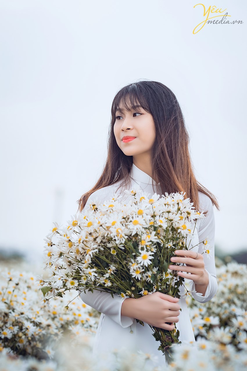 ảnh cúc họa mi chọn nhiếp ảnh gia nào