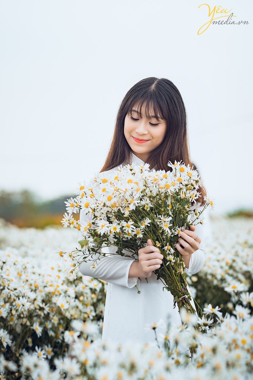 studio chụp ảnh cúc họa mi nhiều người chọn