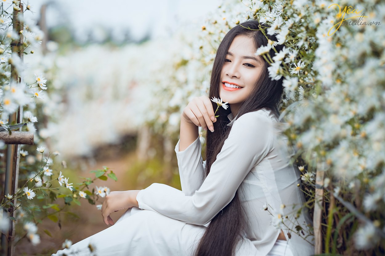 ở dâu chụp ảnh cúc họa mi có nước ảnh đẹp nhất