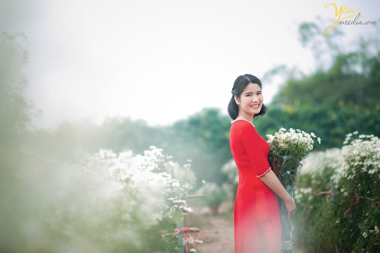 Chụp ảnh cúc họa mi tại Hà Nội đẹp nhất đầu mùa đông