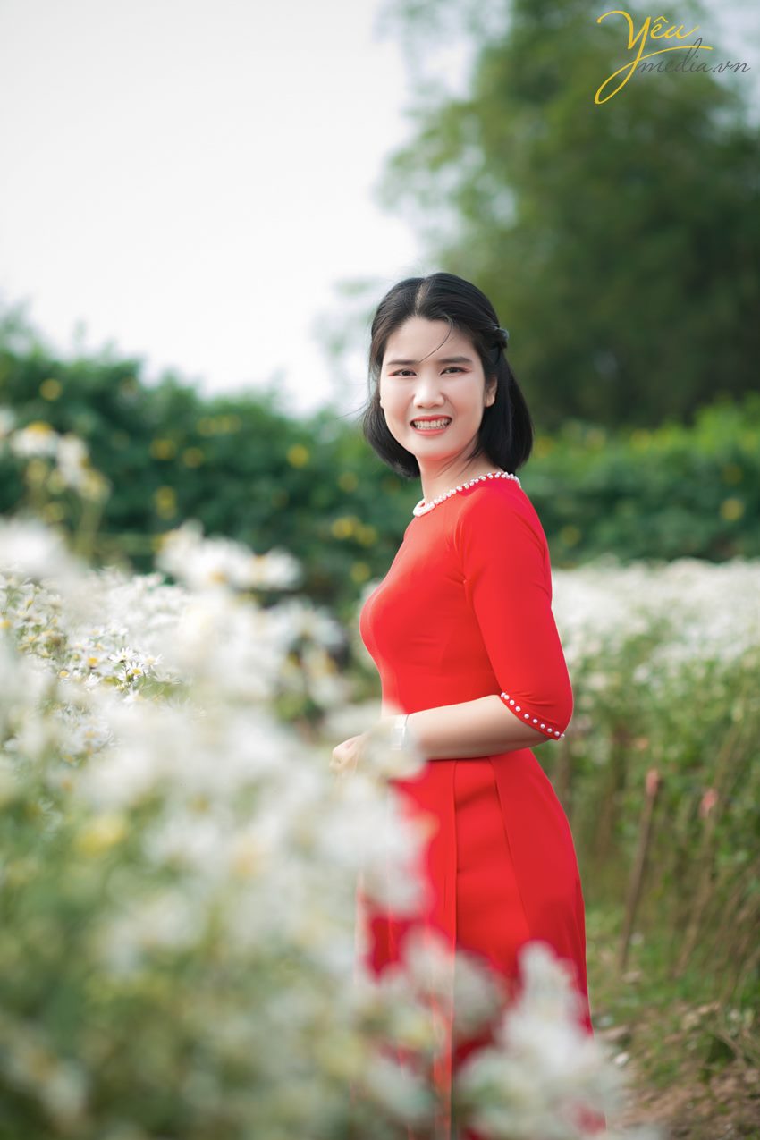 Chụp ảnh cúc họa mi tại Hà Nội đẹp nhất đầu mùa đông