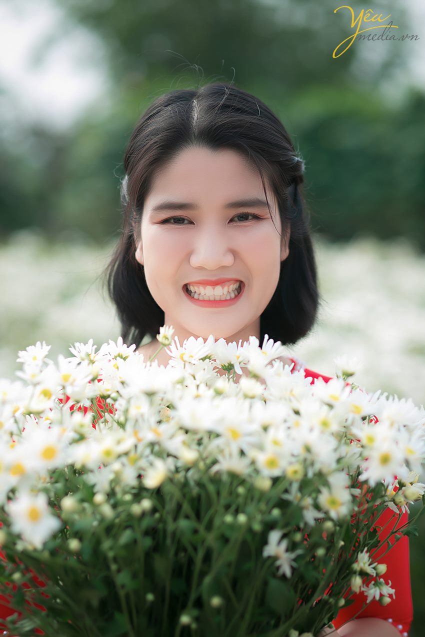 Chụp ảnh cúc họa mi tại Hà Nội đẹp nhất đầu mùa đông