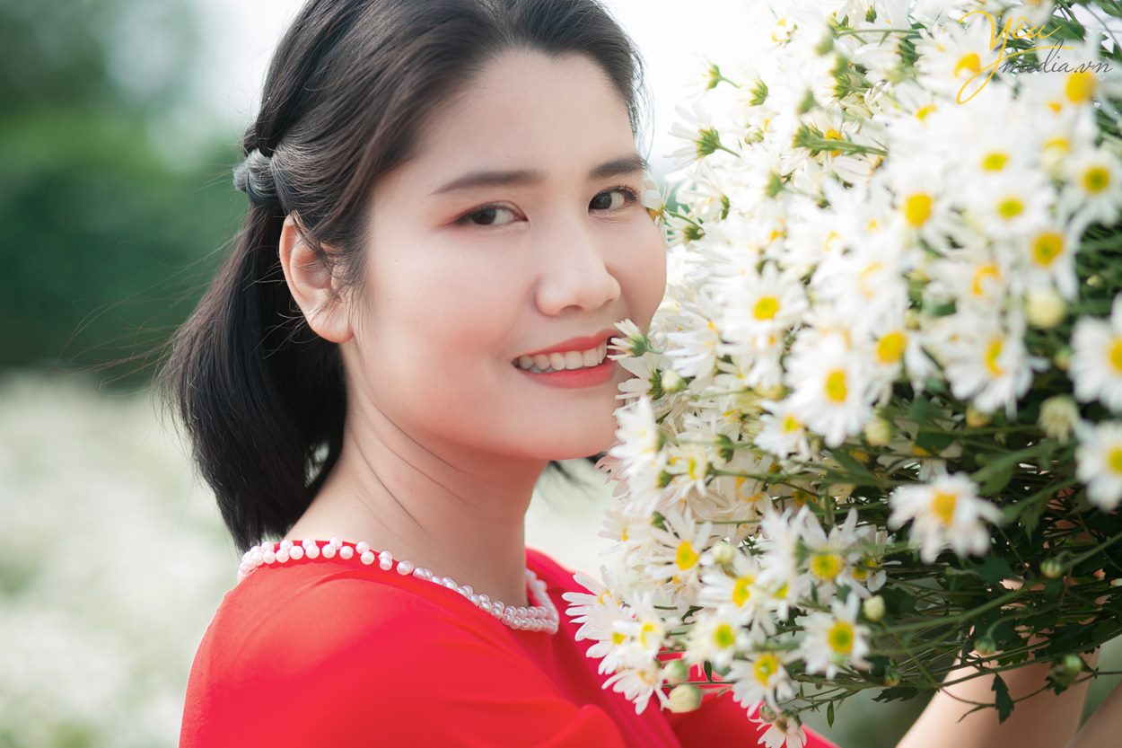 Chụp ảnh cúc họa mi tại Hà Nội đẹp nhất đầu mùa đông