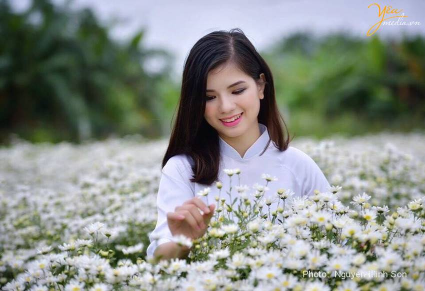 chụp ảnh cúc họa mi