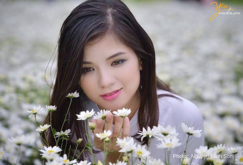 chụp ảnh cúc họa mi