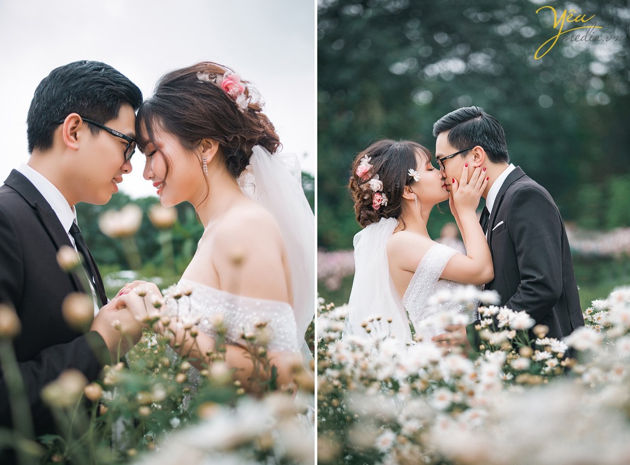 album ảnh cưới chụp cùng cúc họa mi ở hà nội