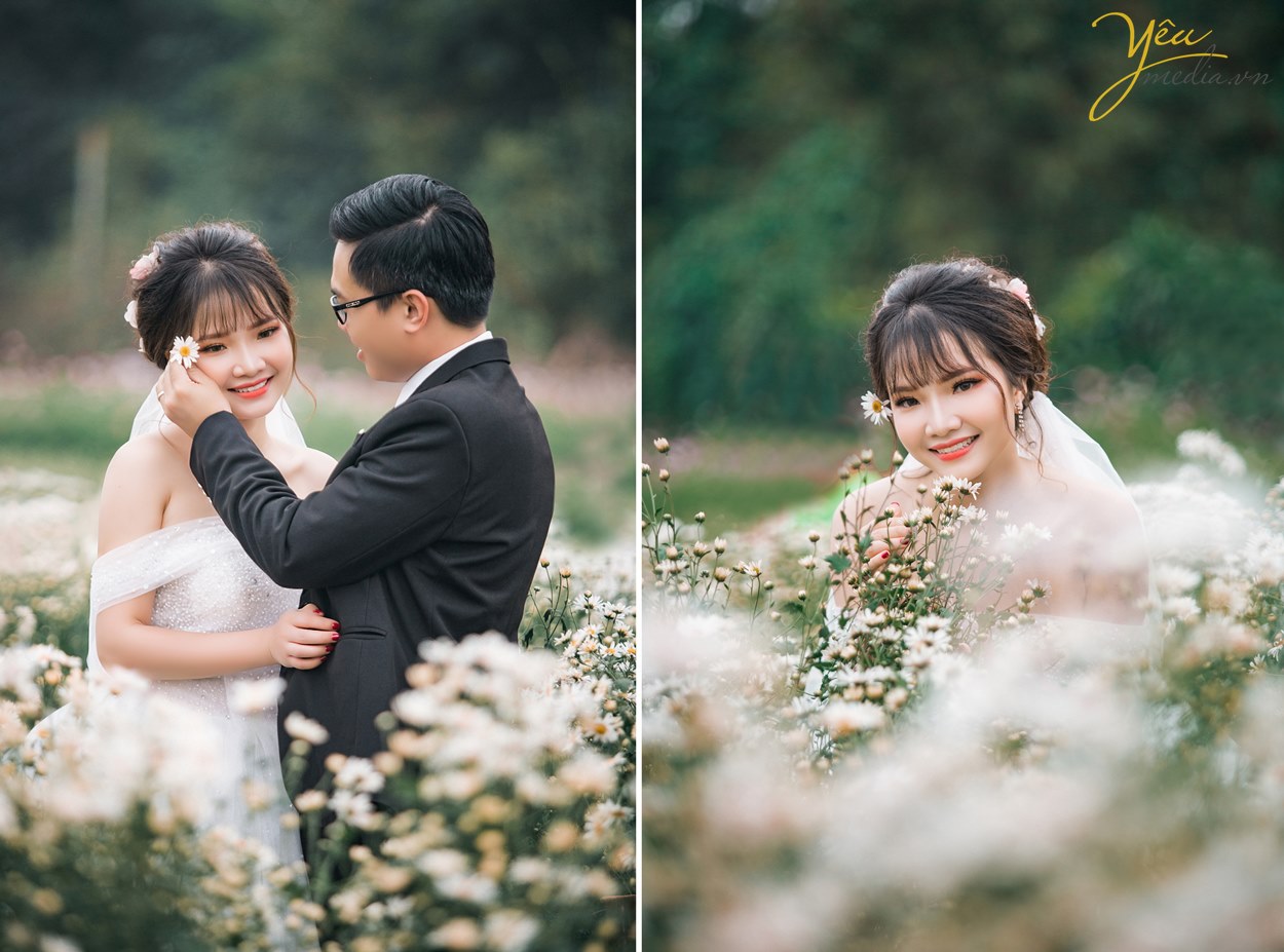 chụp hình ở vườn cúc họa mi long biên