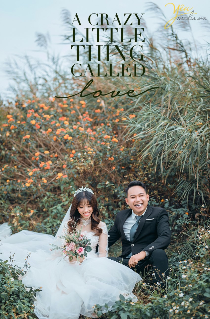 Bella +Vest Adam. Không Thêm Chi Phí. Khuyến Mãi Đến 60% Tặng Ảnh Lớn Tráng Gương.