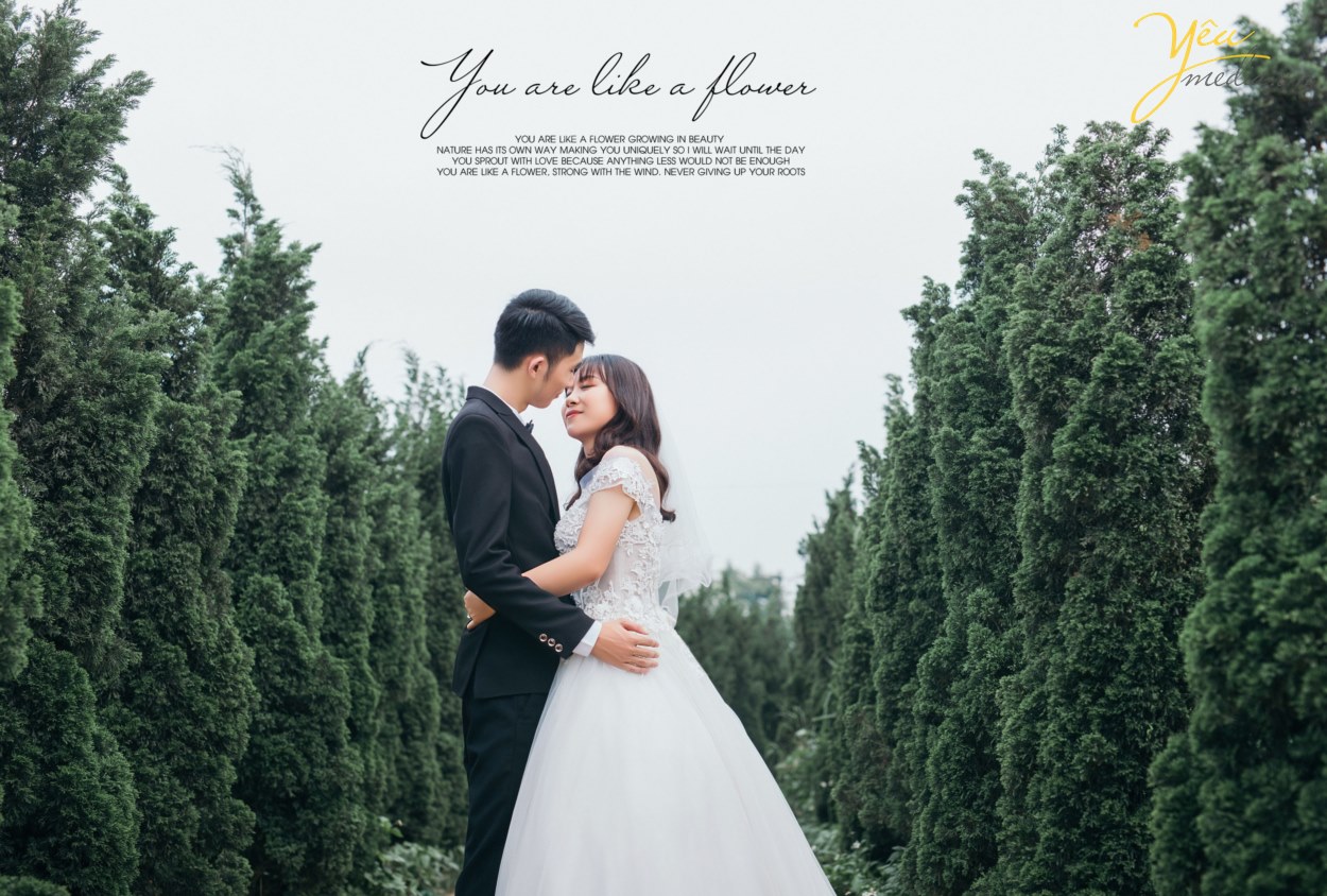 Sau các phim trường châu Âu, phim trường Vintage thì Santorini Park là nơi mang lại luông gió mới đầy hơi thở Địa Trung Hải với những ngôi nhà nấm xanh trắng vô cùng đáng yêu và dễ thương, được giới trẻ vô cùng yêu thích.