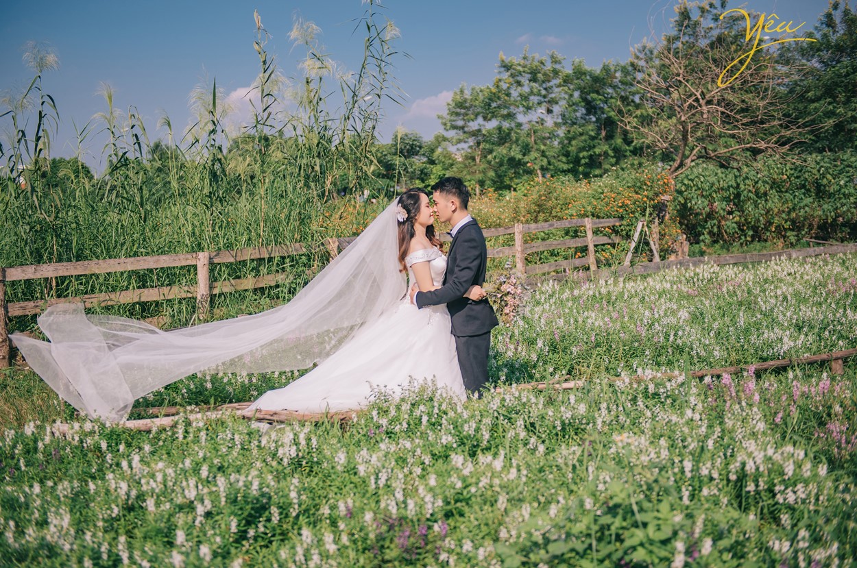 cặp đôi hôn nhau giữa mảnh vườn xanh