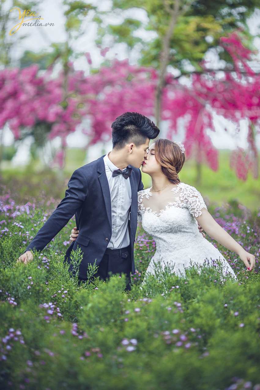 Phim trường Cherry Land