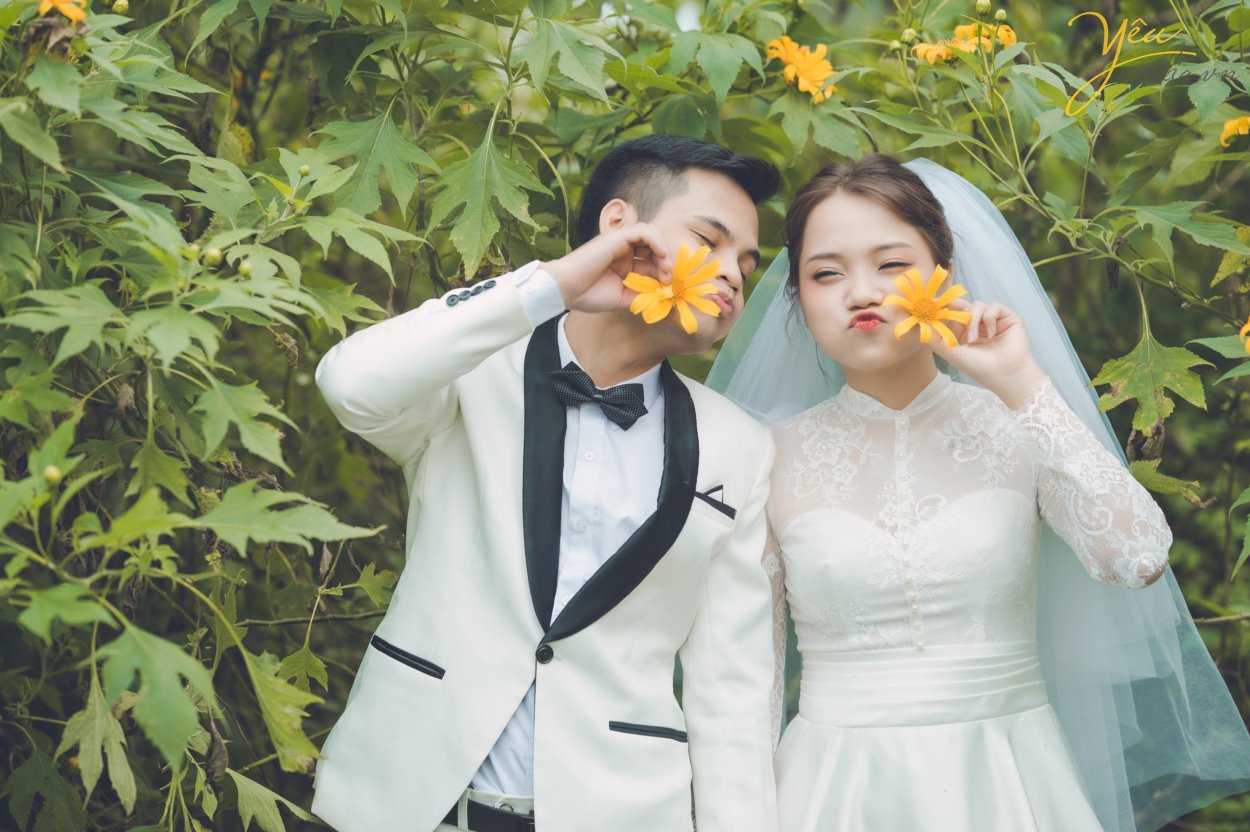 Loài hoa hoang dại nhưng quyến rủ giữa núi rừng, loài hoa mang sắc vàng của nắng, của tình yêu đôi lứa, chỉ mọc ven đường thôi nhưng cũng đủ làm say đắm những du khách dong duổi trên khung đường này. Loài hoa này thường nở vào khoảng 4 tuần cuối tháng 10 hoặc đầu tháng 12 dương lịch hàng năm vào đúng mùa cưới thì tại sao các cặp đôi lại bỏ qua địa điểm chụp ảnh thú vị này phải không?