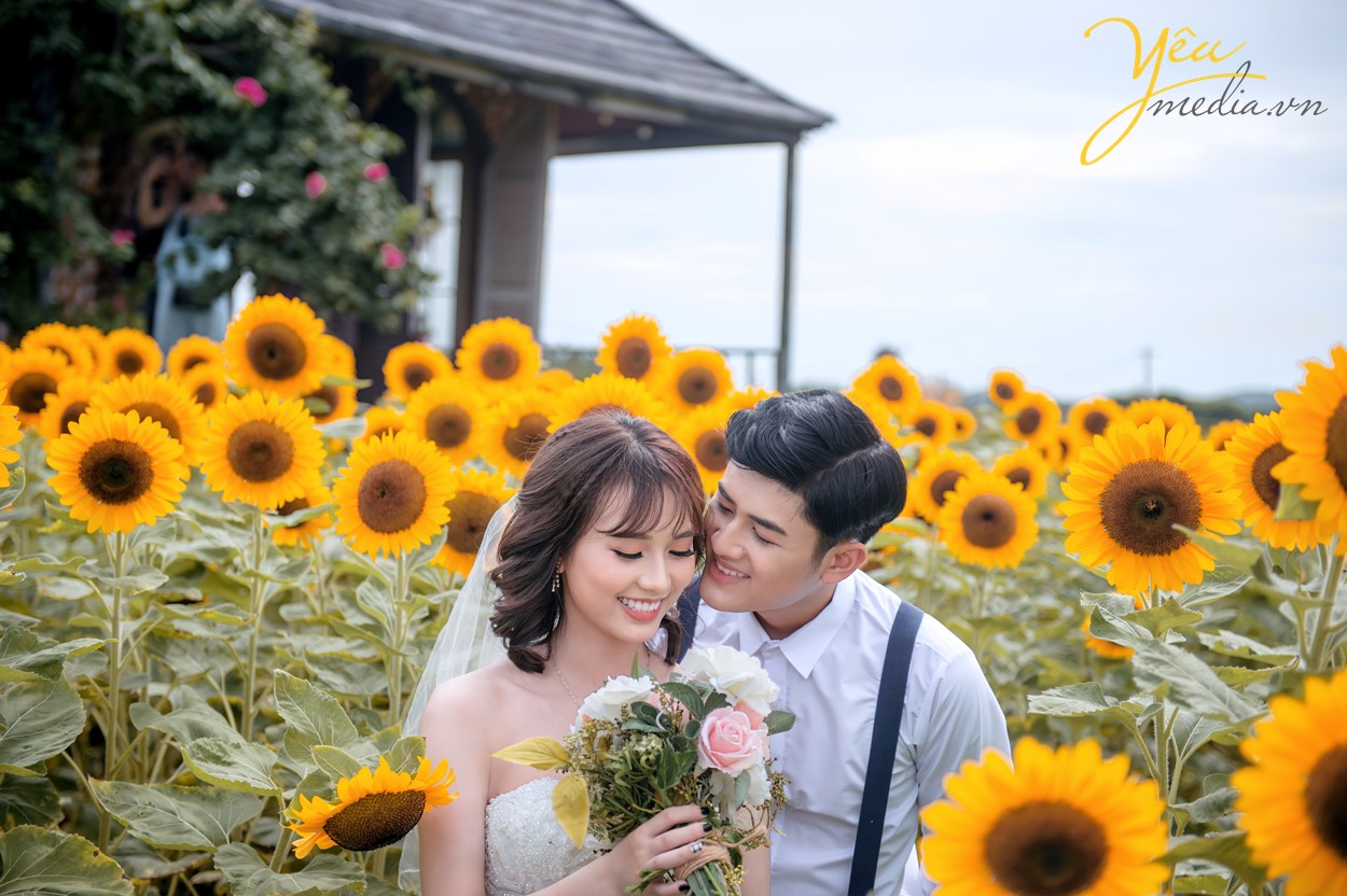 cánh đồng hoa hướng dương đẹp nhất gần hà nội