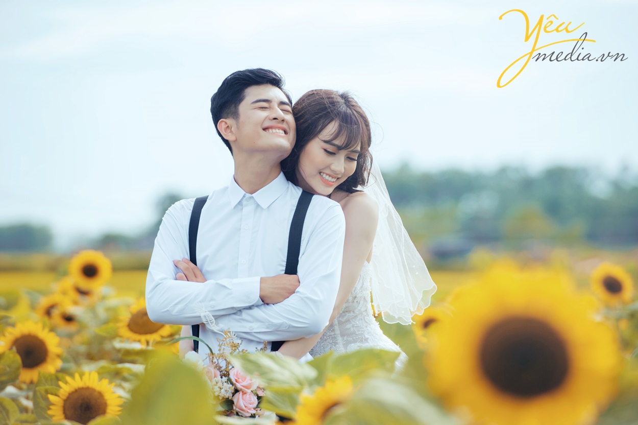 cô dâu chú rể ôm hôn nhau ở cánh đồng hoa hướng dương