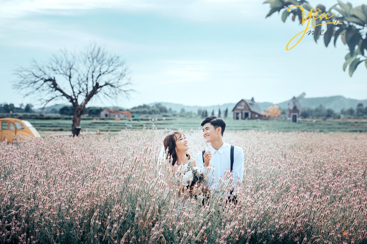 chụp ảnh cưới ở cánh đồng cỏ lau rộng lớn