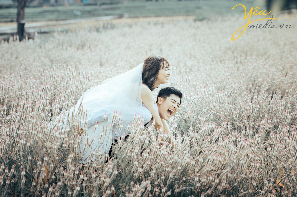 cặp đôi chụp ảnh cưới ở cánh đồng hot nhất việt nam