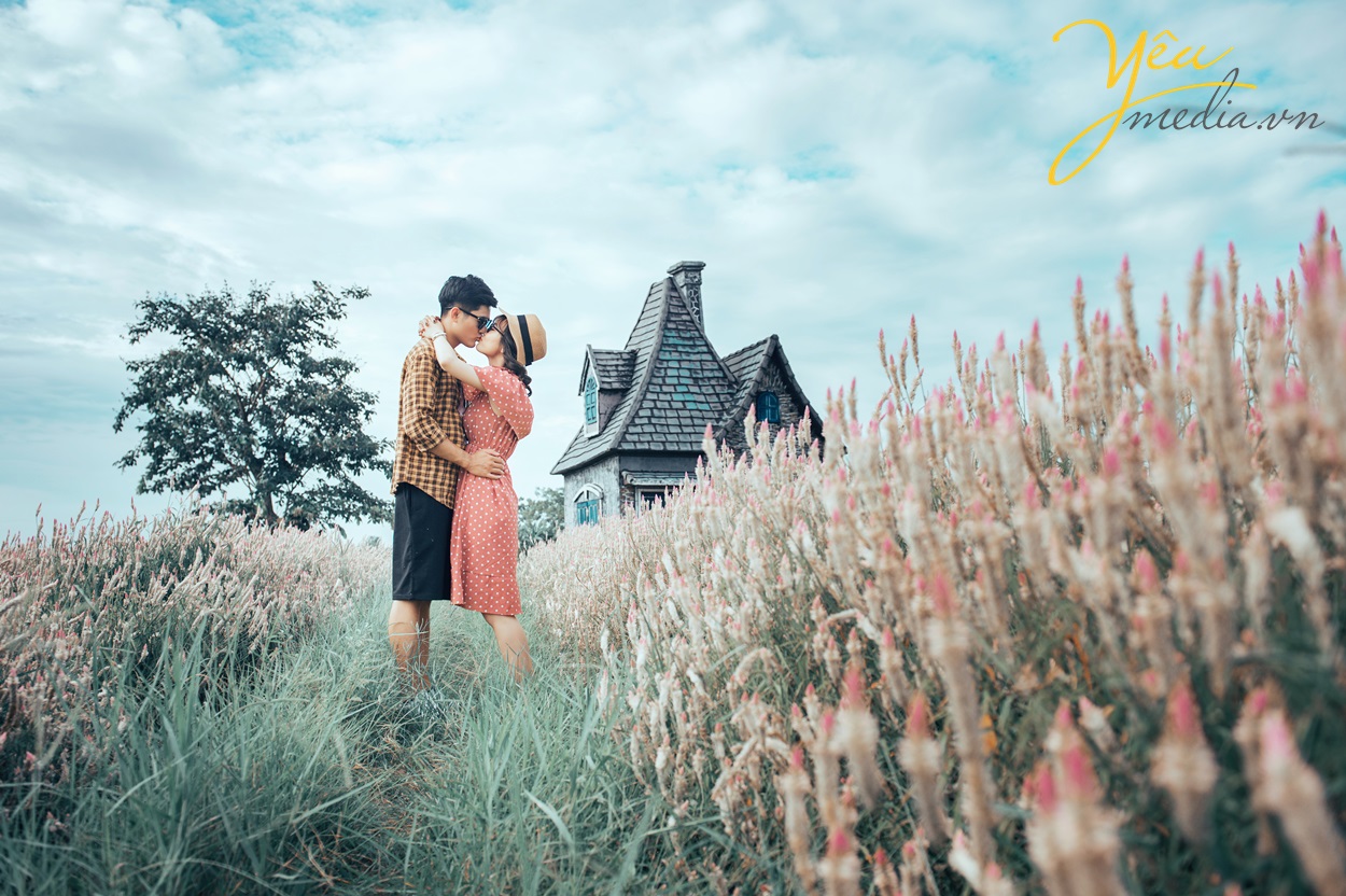 cặp đôi hôn nhau ở cánh đồng hoa tuyệt đẹp