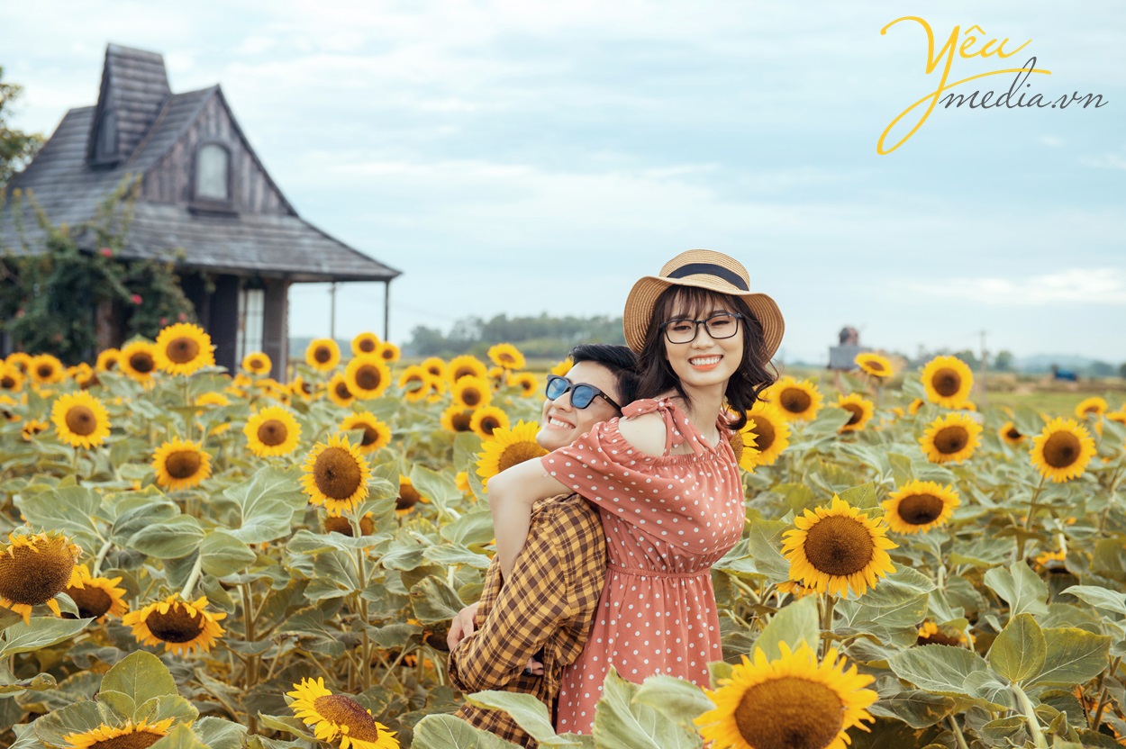 chụp ảnh cưới cặp đôi ở cánh đồng hoa bất tận bắc giang