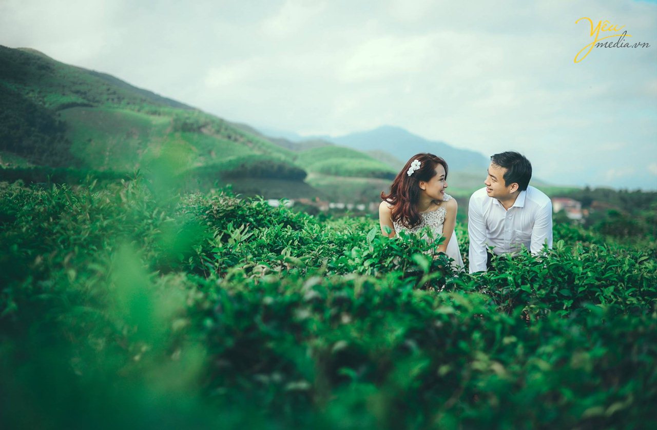 chụp ảnh cưới ở đồi xanh