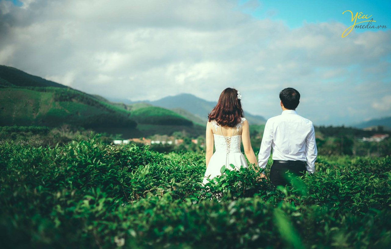 chụp ảnh cưới ở đồi chè