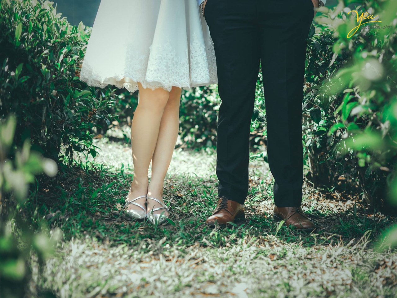 chụp ảnh cưới ở đồi chè