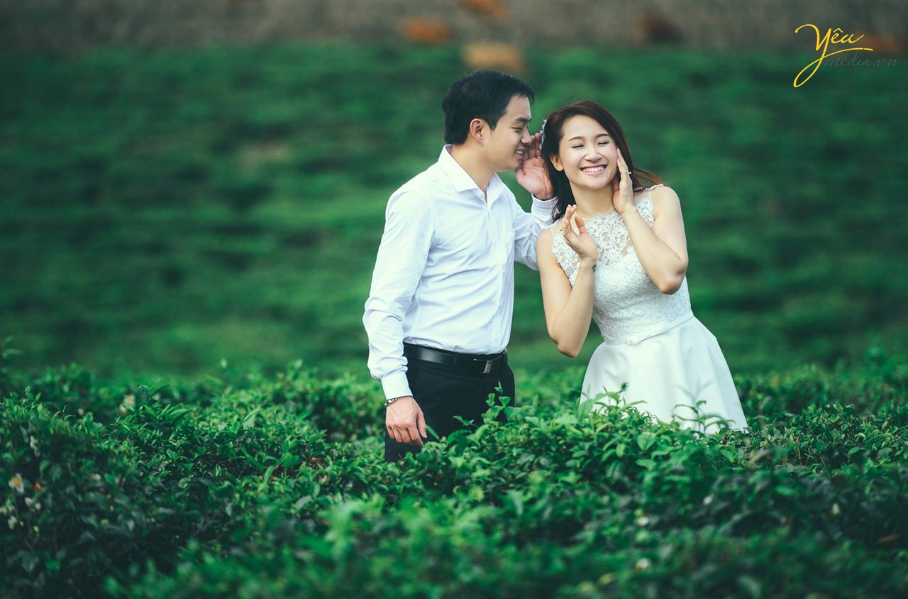 chụp ảnh cưới ở đồi chè
