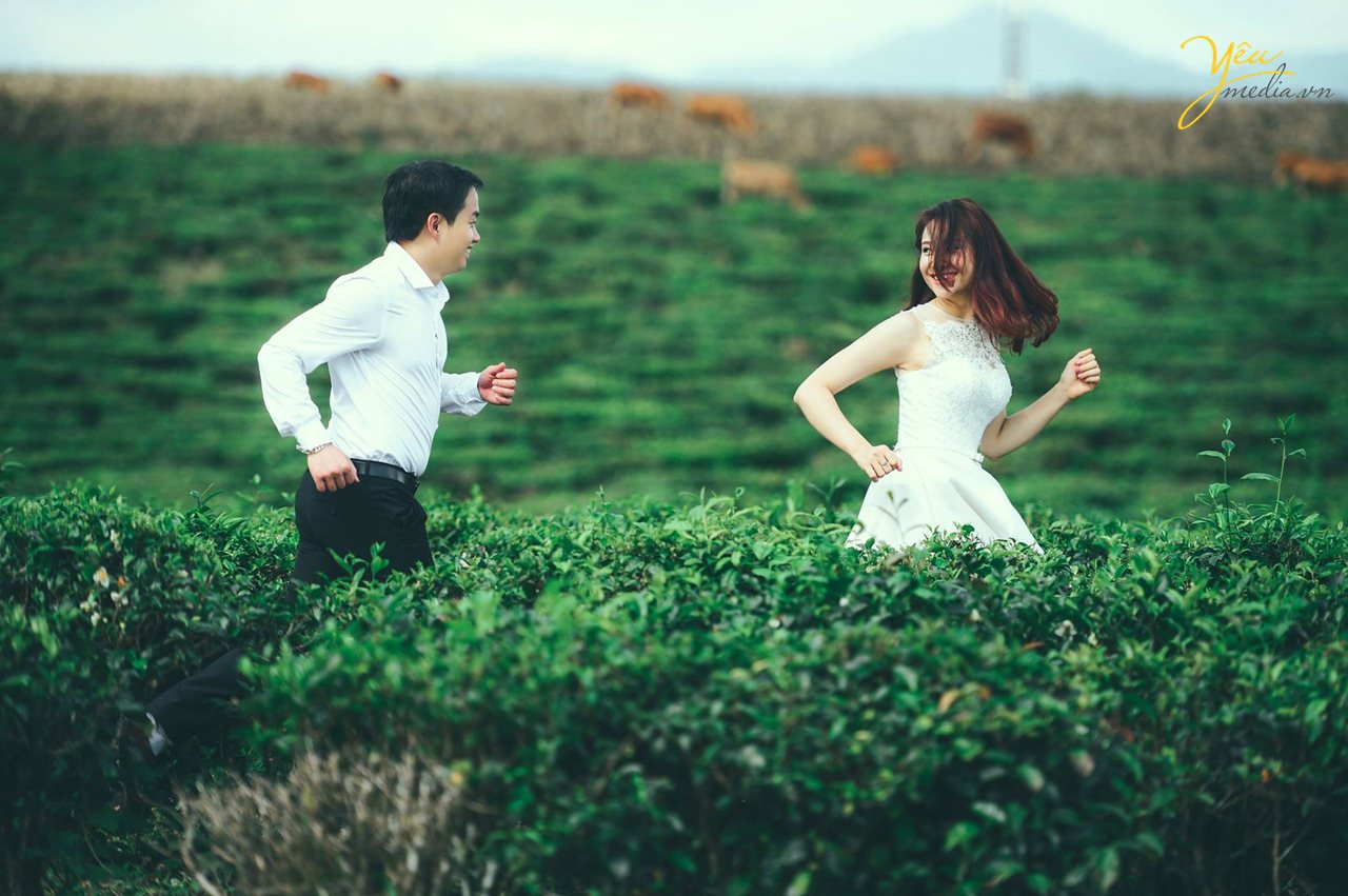 chụp ảnh cưới ở đồi chè