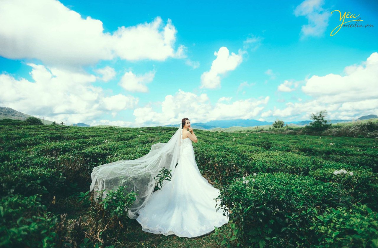 chụp ảnh cưới ở đồi chè