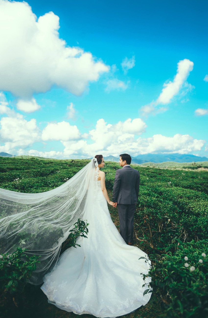 chụp ảnh cưới ở đồi chè