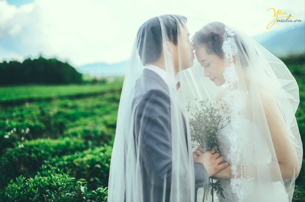 chụp ảnh cưới ở đồi chè