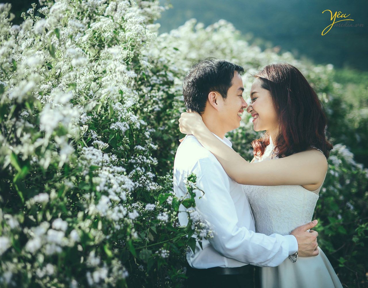 chụp ảnh cưới ở đồi xanh