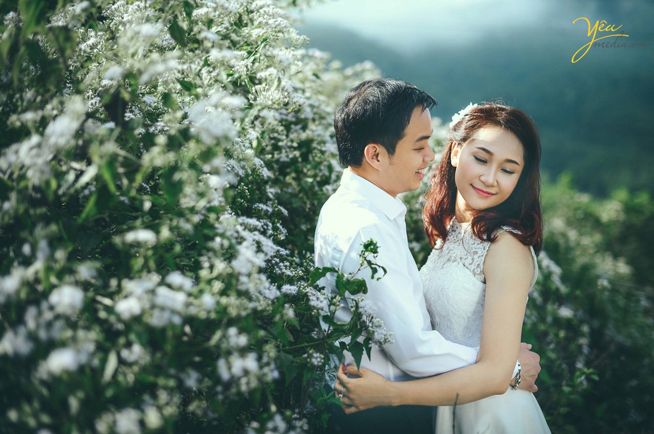 chụp ảnh cưới ở đồi xanh