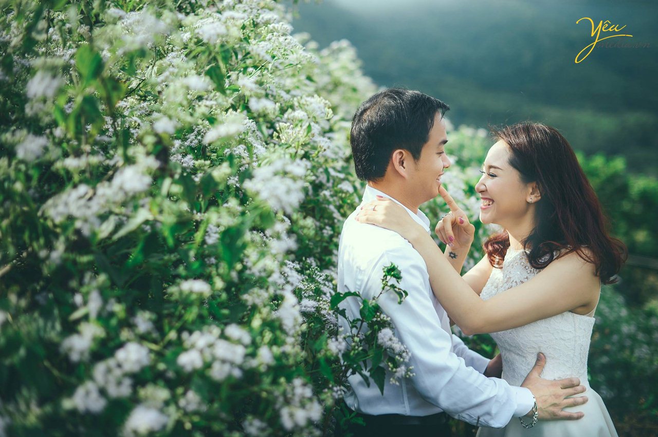 chụp ảnh cưới ở đồi xanh